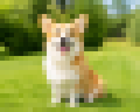 Pet photo converted to pixel art with original colors
